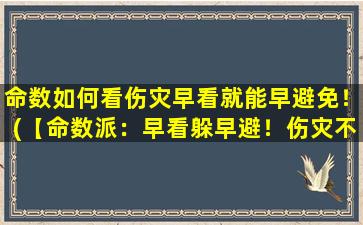 命数如何看伤灾早看就能早避免！(【命数派：早看躲早避！伤灾不再手忙脚乱】)