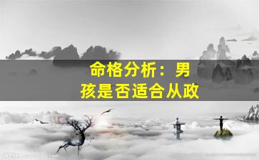 命格分析：男孩是否适合从政