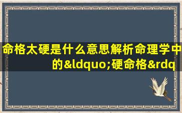 命格太硬是什么意思解析命理学中的“硬命格”概念