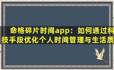 命格碎片时间app：如何通过科技手段优化个人时间管理与生活质量