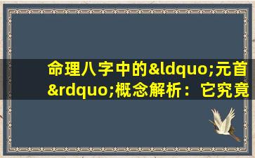 命理八字中的“元首”概念解析：它究竟指代什么