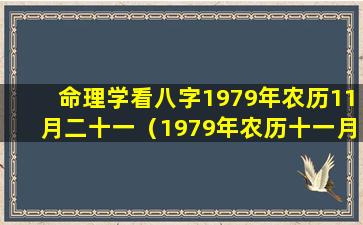 命理学看八字1979年农历11月二十一（1979年农历十一月二十九是阳历什么日子）