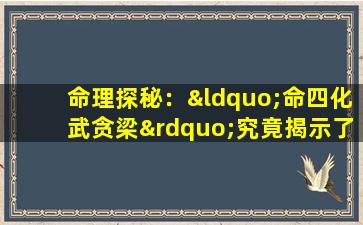 命理探秘：“命四化武贪梁”究竟揭示了何种命格