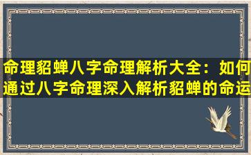 命理貂蝉八字命理解析大全：如何通过八字命理深入解析貂蝉的命运