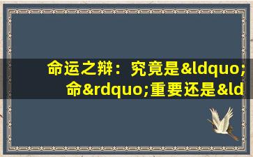 命运之辩：究竟是“命”重要还是“运”重要