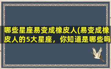 哪些星座易变成橡皮人(易变成橡皮人的5大星座，你知道是哪些吗？)