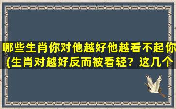 哪些生肖你对他越好他越看不起你(生肖对越好反而被看轻？这几个生肖榜上有名！)