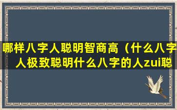 哪样八字人聪明智商高（什么八字人极致聪明什么八字的人zui聪明）