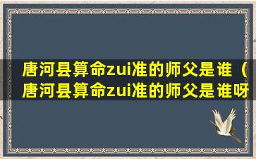 唐河县算命zui准的师父是谁（唐河县算命zui准的师父是谁呀）