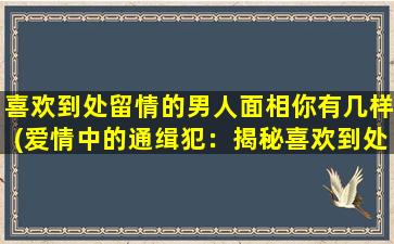 喜欢到处留情的男人面相你有几样(爱情中的通缉犯：揭秘喜欢到处留情男人的面相)