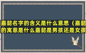 嘉懿名字的含义是什么意思（嘉懿的寓意是什么嘉懿是男孩还是女孩名）