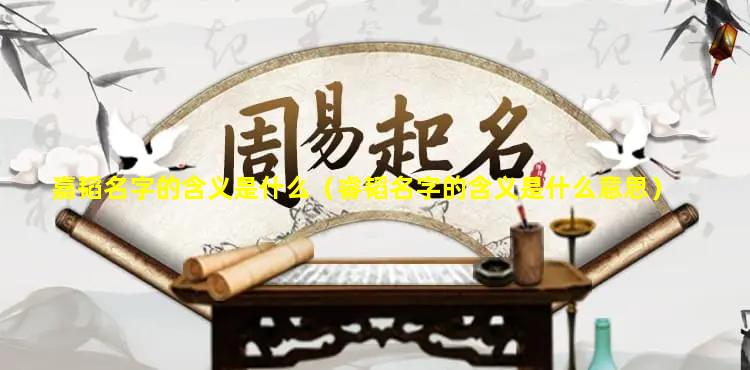 嘉韬名字的含义是什么（睿韬名字的含义是什么意思）