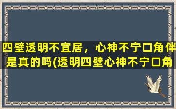 四壁透明不宜居，心神不宁口角伴是真的吗(透明四壁心神不宁口角伴，如何改善居住环境？)