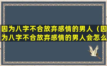 因为八字不合放弃感情的男人（因为八字不合放弃感情的男人会怎么样）