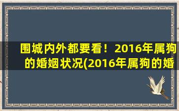 围城内外都要看！2016年属狗的婚姻状况(2016年属狗的婚姻观察：围城内外双重挑战！)