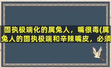 固执极端化的属兔人，嘴很毒(属兔人的固执极端和辛辣嘴皮，必须知道的秘密！)