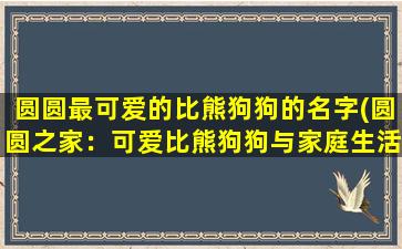 圆圆最可爱的比熊狗狗的名字(圆圆之家：可爱比熊狗狗与家庭生活的点滴)