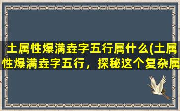 土属性爆满垚字五行属什么(土属性爆满垚字五行，探秘这个复杂属性的奥秘！)