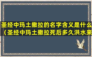 圣经中玛土撒拉的名字含义是什么（圣经中玛土撒拉死后多久洪水来了）