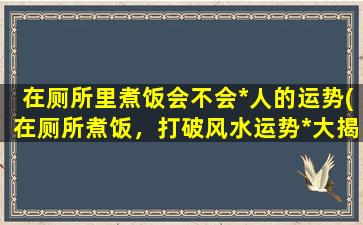 在厕所里煮饭会不会*人的运势(在厕所煮饭，打破风水运势*大揭秘！)