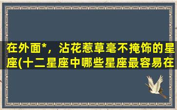 在外面*，沾花惹草毫不掩饰的星座(十二星座中哪些星座最容易在外面沾花惹草？)