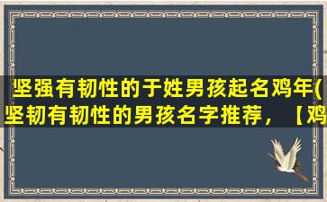 坚强有韧性的于姓男孩起名鸡年(坚韧有韧性的男孩名字推荐，【鸡年篇】)