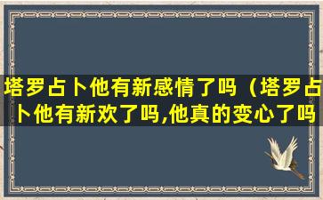 塔罗占卜他有新感情了吗（塔罗占卜他有新欢了吗,他真的变心了吗）