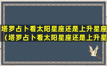 塔罗占卜看太阳星座还是上升星座（塔罗占卜看太阳星座还是上升星座好）