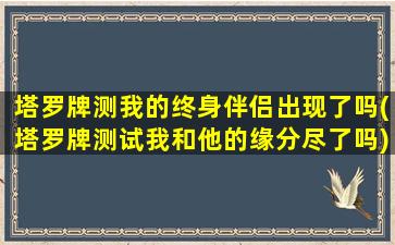 塔罗牌测我的终身伴侣出现了吗(塔罗牌测试我和他的缘分尽了吗)