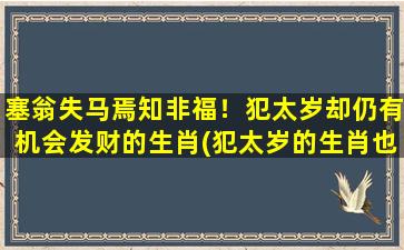 塞翁失马焉知非福！犯太岁却仍有机会发财的生肖(犯太岁的生肖也可以逆袭发财，不要忘记“以塞翁失马焉知非福”！)