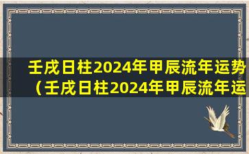 壬戌日柱2024年甲辰流年运势（壬戌日柱2024年甲辰流年运势微博）