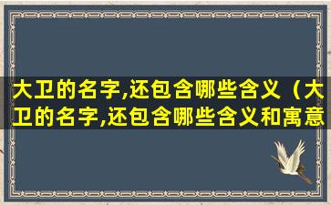 大卫的名字,还包含哪些含义（大卫的名字,还包含哪些含义和寓意）