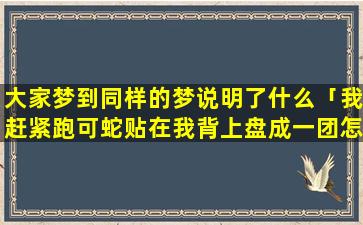 大家梦到同样的梦说明了什么「我赶紧跑可蛇贴在我背上盘成一团怎么甩也甩不掉寓意是什么」