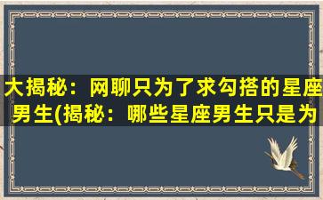 大揭秘：网聊只为了求勾搭的星座男生(揭秘：哪些星座男生只是为了勾搭而网聊？)