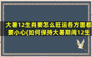 大暑12生肖要怎么旺运各方面都要小心(如何保持大暑期间12生肖的全方位旺运注意事项？)