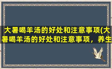 大暑喝羊汤的好处和注意事项(大暑喝羊汤的好处和注意事项，养生之道)