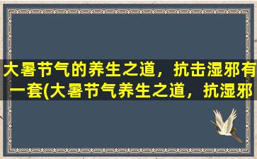 大暑节气的养生之道，抗击湿邪有一套(大暑节气养生之道，抗湿邪这样做！)