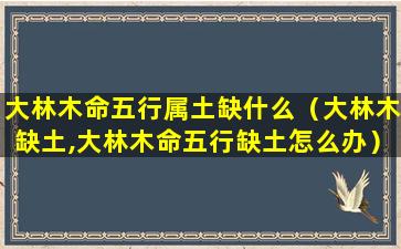 大林木命五行属土缺什么（大林木缺土,大林木命五行缺土怎么办）