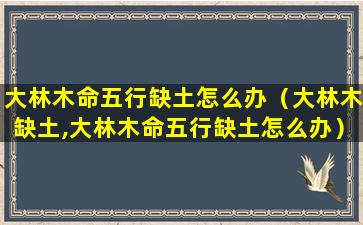 大林木命五行缺土怎么办（大林木缺土,大林木命五行缺土怎么办）