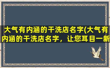 大气有内涵的干洗店名字(大气有内涵的干洗店名字，让您耳目一新的选择！)