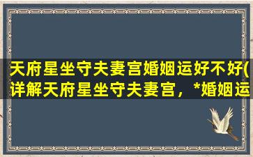 天府星坐守夫妻宫婚姻运好不好(详解天府星坐守夫妻宫，*婚姻运势，改善婚姻关系)