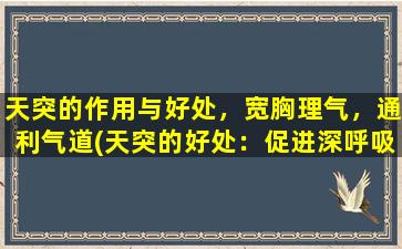 天突的作用与好处，宽胸理气，通利气道(天突的好处：促进深呼吸，缓解压力，增强肺功能，提高免疫力！)