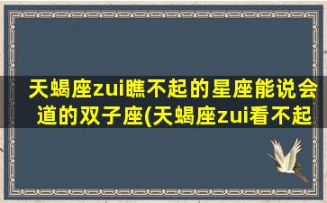 天蝎座zui瞧不起的星座能说会道的双子座(天蝎座zui看不起的星座）