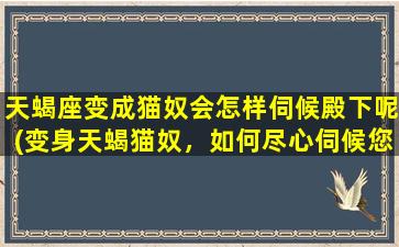 天蝎座变成猫奴会怎样伺候殿下呢(变身天蝎猫奴，如何尽心伺候您的殿下？)