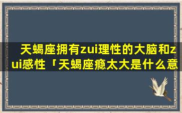 天蝎座拥有zui理性的大脑和zui感性「天蝎座瘾太大是什么意思」