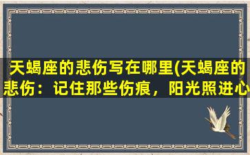 天蝎座的悲伤写在哪里(天蝎座的悲伤：记住那些伤痕，阳光照进心房)