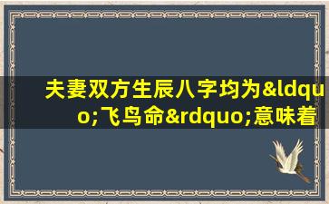 夫妻双方生辰八字均为“飞鸟命”意味着什么