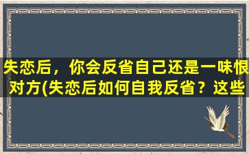 失恋后，你会反省自己还是一味恨对方(失恋后如何自我反省？这些思考可以让你摆脱一味恨对方的情绪！)