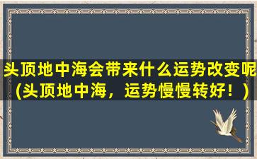 头顶地中海会带来什么运势改变呢(头顶地中海，运势慢慢转好！)