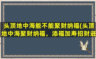 头顶地中海能不能聚财纳福(头顶地中海聚财纳福，添福加寿招财进宝)